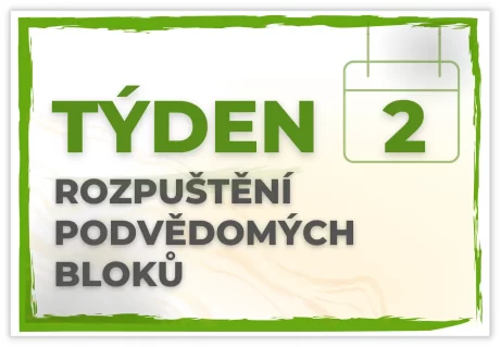 Týden 2 Vnitřní léčitel