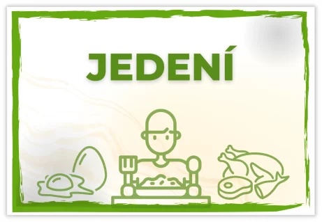 Jedení Vnitřní léčitel